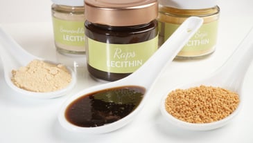 Lecithin: Market dynamics, growth trends and future outlook