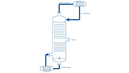 Schema - Rektifikation